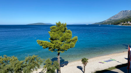 maybe Adriatic Sea, blue sky, visible islands and plants