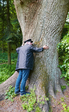 Elderly man hugging a giant oak tree in an old wood in Oldenburg, Germany (Eversten Holz). The history of this wood goes back to the 12th centuryの写真素材