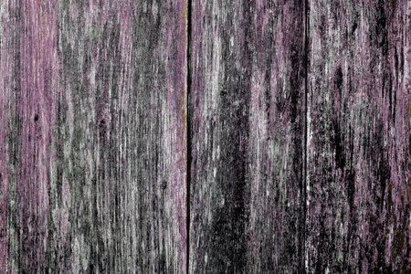 Purple and black colored planks. The paint is almost gone. Wood structure in unusual colors. Meant as grungy backgroundの写真素材