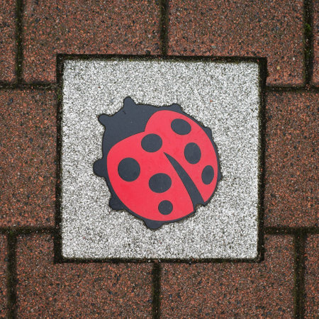 A tile with ladybug between the pavement stones is a sign against senseless violence in the Netherlandsの写真素材