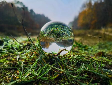 Glass Crystal ball on green grass wet of morning dew の写真素材