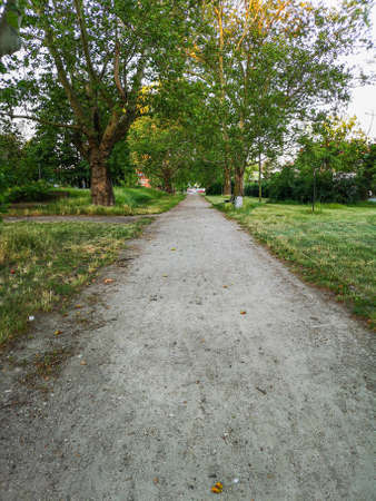 Long path in park between trees, bushes and bench on sideの写真素材