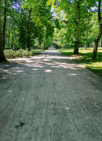 Long path in park with trees around
