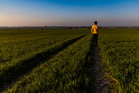 Man walking by long path between huge green fields at sunriseの写真素材
