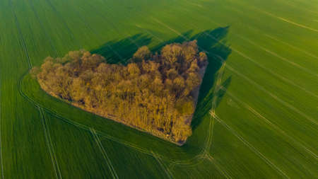 Aerial drone view to copse of love in heart shape at sunriseの写真素材