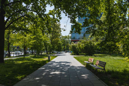 Wroclaw, Poland - May 8 2020: Long path next to long street with trees bushes and benches aroundのeditorial素材