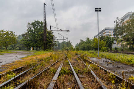 Wroclaw, Poland - May 23 2020: Long high unused train rails full of small bushesのeditorial素材