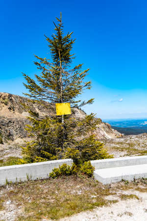 Small tree with yellow board in front of quartz mine Stanislawの写真素材