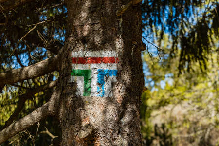 Sign of divergence of mountain trails in Jizera mountains painted on a treeの写真素材