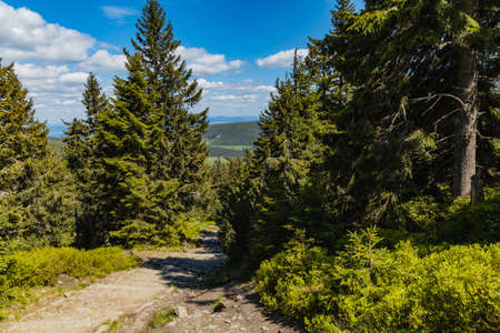 Long mountain trail with panorama if Karkonosze Giant Mountains aroundの写真素材