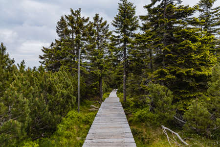 Long mountain trail with panorama of Karkonosze Giant Mountains aroundの写真素材