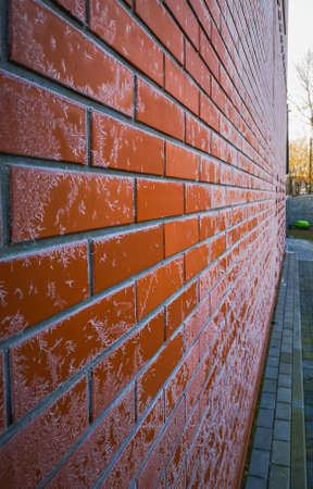 Icy frost with floral patterns on red brick wallの写真素材