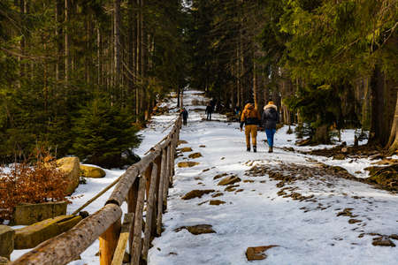 People walking through icy mountain trail next to wooden fence and high treesの写真素材