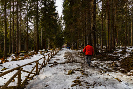 People walking through icy mountain trail next to wooden fence and high treesの写真素材