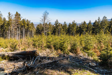 Beautiful landscape of mountains at sunny morning