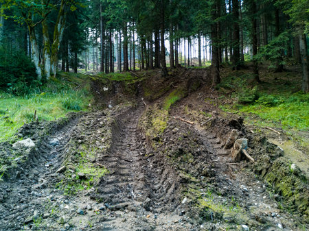 Paths next to mountain trail full of mud made by heavy vehicleの写真素材