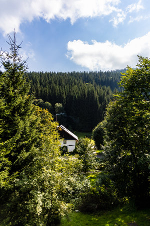 Small white house with wooden roof down in Golden Mountainsの写真素材
