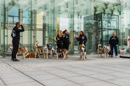 Wroclaw, Poland - September 2022: Dog parade at city center with hundreds of barking and smiling dogsのeditorial素材