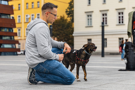 Wroclaw, Poland - September 2022: Dog parade at city center with hundreds of barking and smiling dogsのeditorial素材