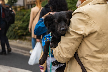 Wroclaw, Poland - September 2022: Dog parade at city center with hundreds of barking and smiling dogsのeditorial素材