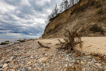 Coast of Baltic sea at the small beach next to high cliffsの写真素材
