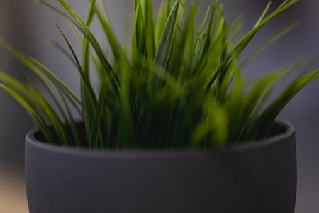 Green artificial grass with a lot of plastic stems in gray concrete flower potの写真素材