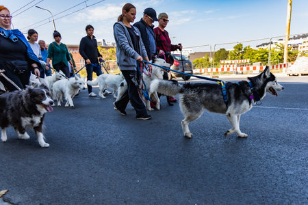 Wroclaw, Poland - September 2022: Freedom square in Wroclaw and city streets full of small and big dogs at Wroclaw Dogs Parade Hau Are You organized by local homeless animal shelterのeditorial素材