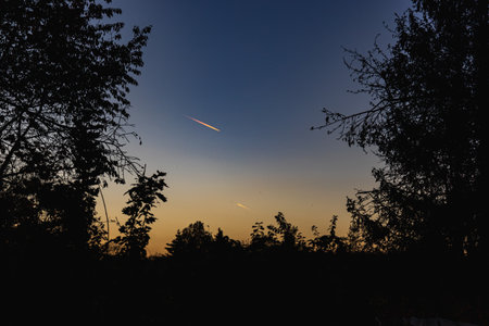 Beautiful blue and yellow sky after sunset with few streaks of light created by planes framed by dark bushes and treesの写真素材