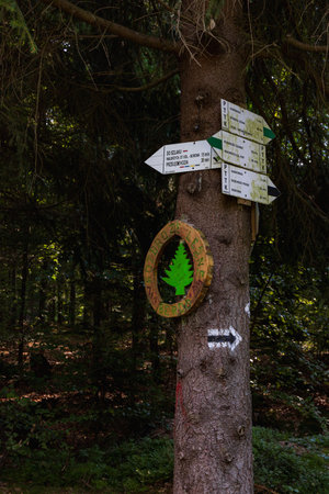 Walbrzych, Poland - August 14 2023: Landmark at crossroads of mountain trails Lesne Berdo with signs hanging on the treeのeditorial素材