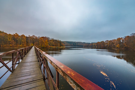 Beautiful view to long steel and wood bridge over big and silent lake with autumn golden trees and bushes around at cloudy and rainy morningの写真素材