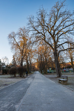 Sobotka, Poland - January 29 2024: Beautiful morning cityscape of Sobotka city covered with hoarfrost after sunrise with long path to trail of mountain massifのeditorial素材