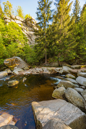 Serene Flowing Stream in Lush Forest Landscapeの写真素材