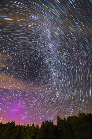 Beautiful startrails at dark night sky over some fields and high trees silhouettes at sky with milky...