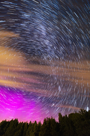 Beautiful startrails at dark night sky over some fields and high trees silhouettes at sky with milky way with moving clouds and flying Perseidsの写真素材