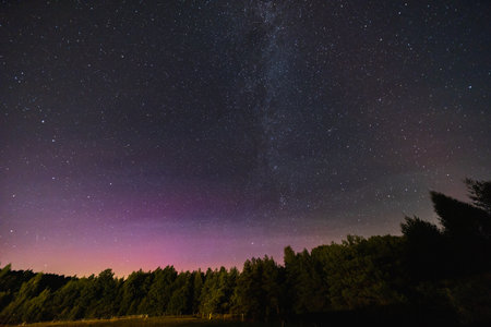 Beautiful dark night sky full of stars and flying Perseids in front of shades of aurora and milky way path over high trees silhouettesの写真素材