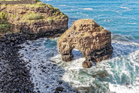 Tenerife - Rocky coast at Puerto de La Cruzの写真素材