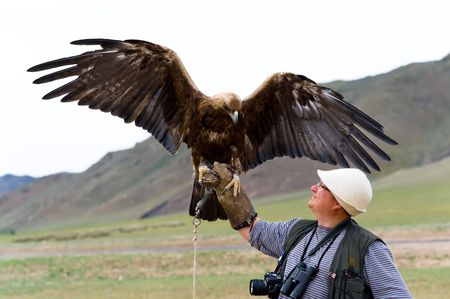 golden eagle with spread wings and touristの写真素材