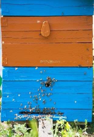 a handmade wooden beehive with bees on itの写真素材