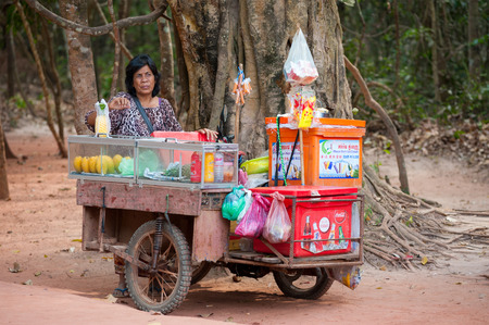 ANGKOR, CAMBODIA - FEB 21  Unidentified tradeswoman stands by her cart with fruit and drinks, Feb 21, 2013, Angkor, Cambodia  About 20 thousands of tourists visit Angkor Khmer complex every day のeditorial素材