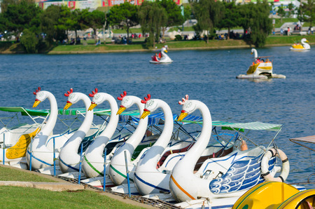 DALAT, VIETNAM - JUNE 8, 2014: A swan catamaran station at Xuan Huong Lake. This artificial lake in the city centre is a favourite place for tourists and locals for walking.のeditorial素材