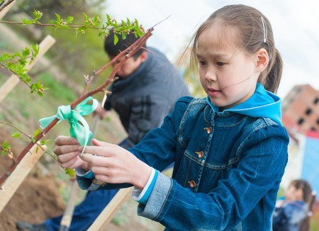 ULAN-UDE, RUSSIA - MAY 20, 2011: An unidentified schoolgirl ties up a ribbon on a young tree just been planted near the City Palace of Childrens Arts.のeditorial素材