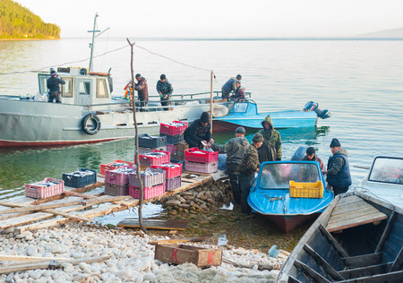 UST-BARGUZIN, RUSSIA - JUNE 21, 2010: Unidentified fishers of a local fishing crew untangle their nets and put the catch into boxes. At Baikal villages fishing is the most popular source of income.のeditorial素材