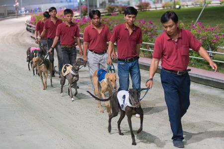 VUNGTAU, VIETNAM - JUNE 12, 2015: Unidentified trainers present their dogs before the dogs race. It is the only gambling allowed in communist Vietnam.のeditorial素材
