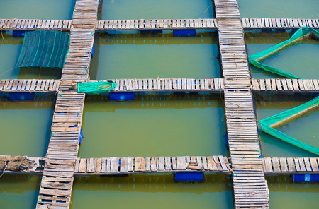 regular footbridges at fish breeding farm, Vietnamの写真素材