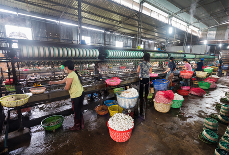 Unrecognizable women in masks immerse silk cocoons into boiling water at silk factory to unwind cocoon filamentsのeditorial素材