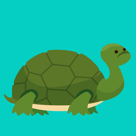 Turtle vector illustration. Cartoon tortoise isolated on green background.