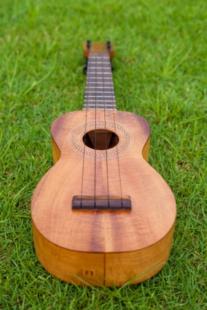 Ukulele on lawn background の写真素材
