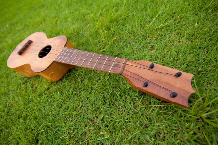 Ukulele on lawn background の写真素材