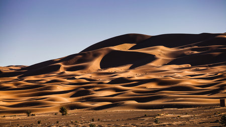 Sand dunes in the Sahara desertの写真素材
