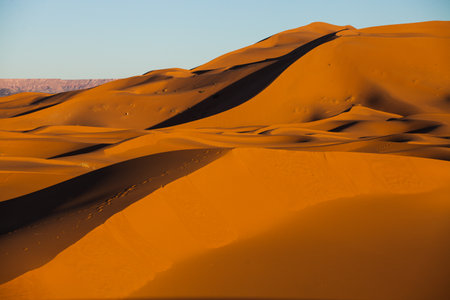 Sand dunes in the Sahara desertの写真素材